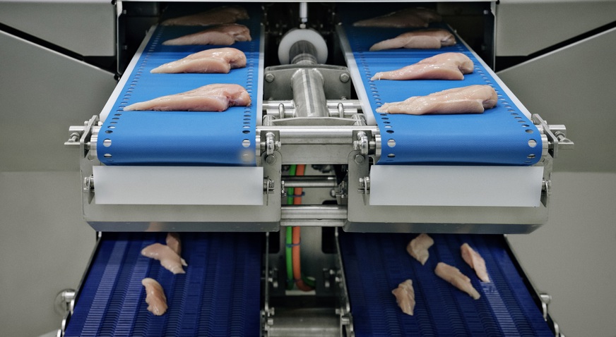 I-Cut 122 TrimSort portion cutter outfeed