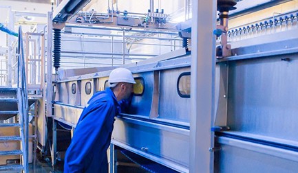 6 questions about controlled atmosphere stunning