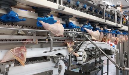 Anatomic leg cutting module type JL and JLR