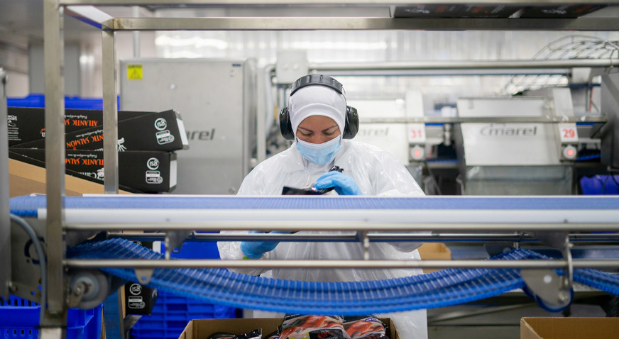 Camanchaca Processing Plant