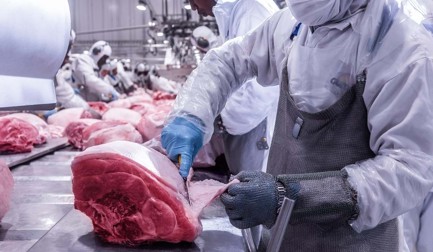 Em parceria com o maior processador de carne suína do Brasil