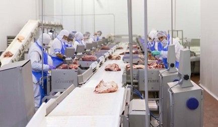 Aproveitando ao máximo a carne bovina argentina