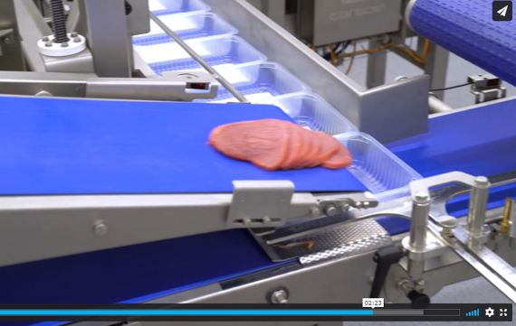 Vcut240 Meat Cutting