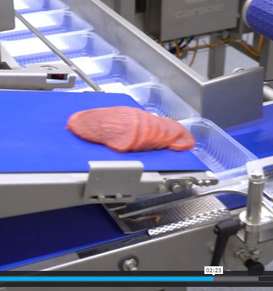 Vcut240 Meat Cutting