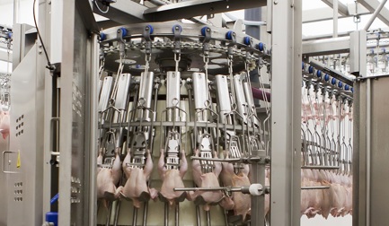 Проверка и обрезка