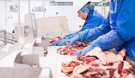 Ver o que os olhos humanos não veem