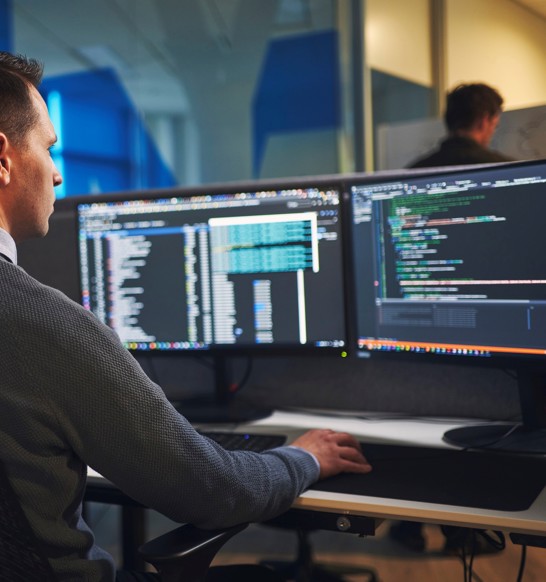 Marel food processing software