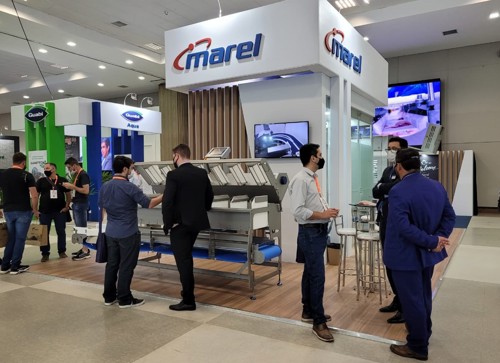 IV International Fish Congress & Fish Expo Brazil