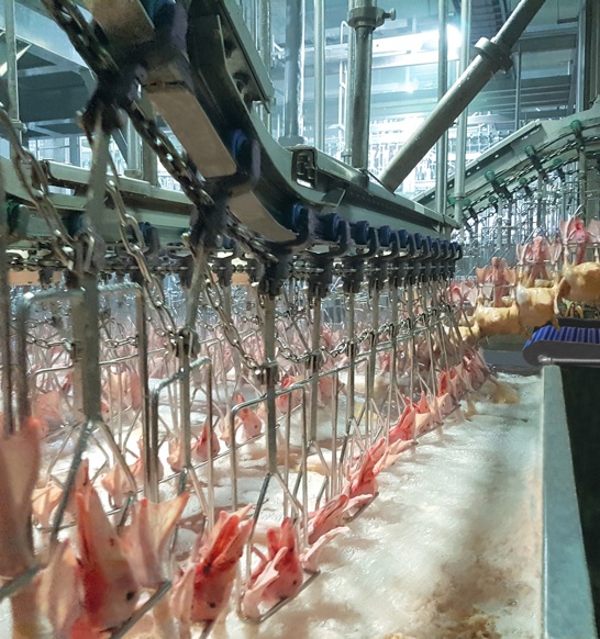 Marel PMJ duck waxing system