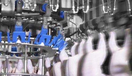 Надежная перенавеска