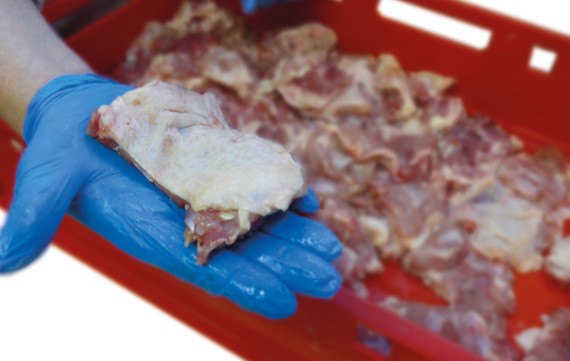 MAJA ESB-SH circular blade cutting machine for chicken cutting