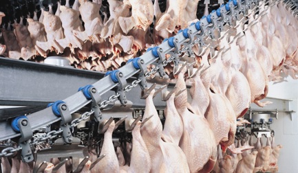 Prestage Farms возводит завод по переработке индейки